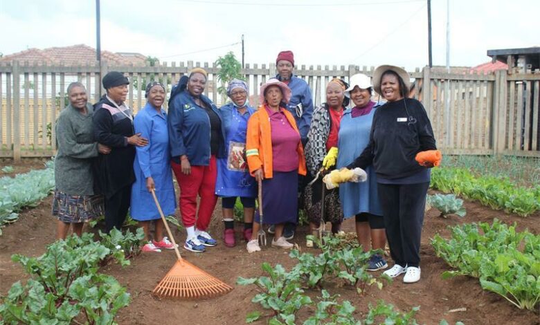 A group volunteering together in a community garden
